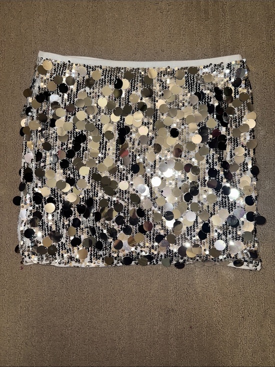 The Unbranded Brand Dresses & Skirts - 🆕 Silver Sequin Sparkle Mini Skirt  w Elastic Waist. Party Ready💃🏼 L NWT!🔥🔥
